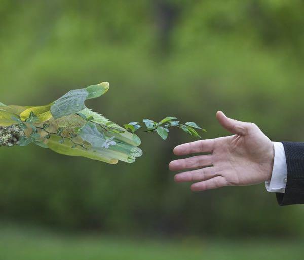 Featured image for “SHATEC Launches New Series Of Sustainability Training Initiatives”